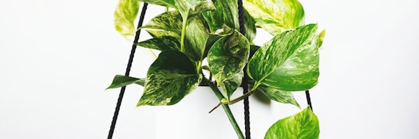 英格兰足球超级联赛激烈比赛画面